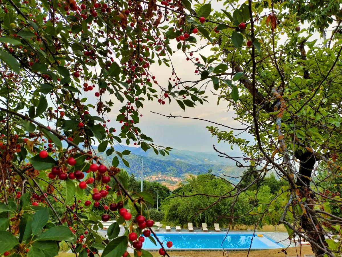 Agriturismo Borgo Biaia Camporgiano Ngoại thất bức ảnh